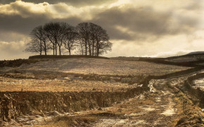 Muddy Field Photography Widescreen Wallpapers 116290
