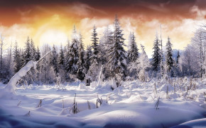 Winter Photography HD Desktop Wallpaper 119576