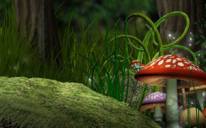 Mushroom HD Desktop Wallpaper 116323