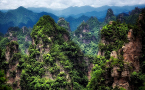Zhangjiajie National Park Forest Widescreen Wallpapers 119723