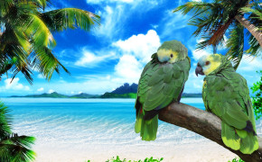 Love Green Parrots Wallpaper 11654