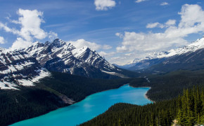 Peyto Lake Banff National Park Widescreen Wallpapers 116675