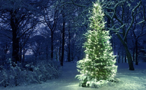 Glowing Christmas Tree Wallpaper 11622