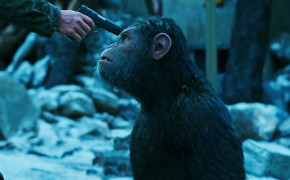 War For The Planet Of The Apes Film Wallpaper 11829