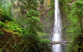Oregon Waterfall Wallpaper 121289