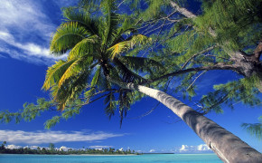 Solomon Islands Beach Best HD Wallpaper 124504