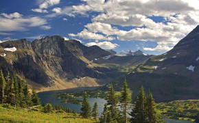Montana State Forest Widescreen Wallpapers 120877