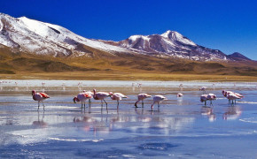 Bolivia Tourism HD Wallpapers 122054