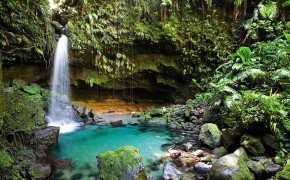 Dominica Waterfall Wallpaper 120335