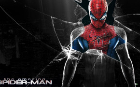 Spiderman Wallpaper 01197