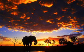 Africa Photography Background Wallpaper 122587