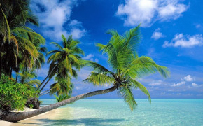 Solomon Islands Beach HD Desktop Wallpaper 124508