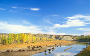 North Dakota Theodore Roosevelt National Park Best HD Wallpaper 121176