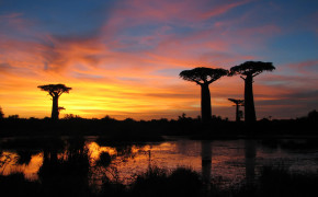Madagascar Country Nature Widescreen Wallpapers 123875