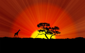 Africa Photography Desktop HD Wallpaper 122591