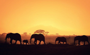 Africa Photography High Definition Wallpaper 122597