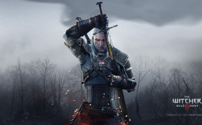 The Witcher Wallpaper HD 01245
