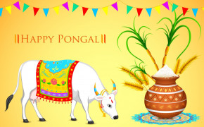 Pongal High Definition Wallpaper 12318