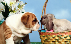 Easter Basket Desktop Wallpaper 12135