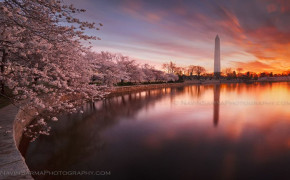 Washington Monument USA Background Wallpaper 122447
