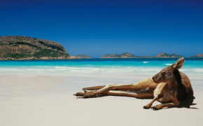 Australia Beach HD Desktop Wallpaper 122697