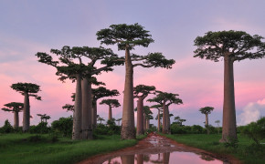 Madagascar Country Background Wallpaper 123850