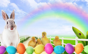Easter Bunny HD Background Wallpaper 12149