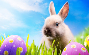 Easter HD Background Wallpaper 12122