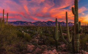 Phoenix Arizona HD Wallpaper 121412