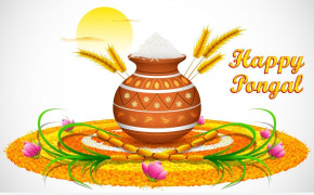 Pongal Background Wallpapers 12311