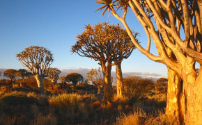 Namibia Photography High Definition Wallpaper 124125