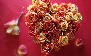 Rose Valentines Day Desktop Wallpaper 113508