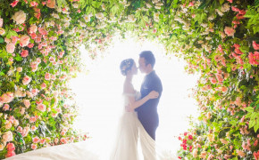 Love Wedding Desktop Wallpaper 113275