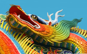 Chinese New Year Dragon HD Desktop Wallpaper 112962