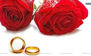 Rose Anniversary Romantic Best HD Wallpaper 113496