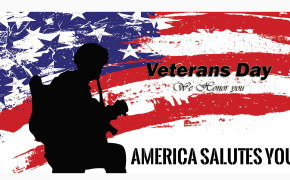 Veterans Day Flag Widescreen Wallpapers 113725