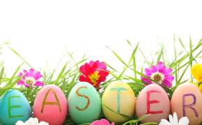 Spring Easter Egg Best Wallpaper 113577