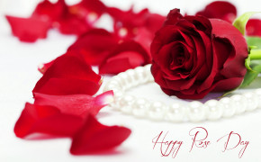Rose Valentines Day HD Desktop Wallpaper 113509