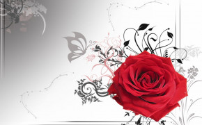 Rose Anniversary HD Wallpapers 113490