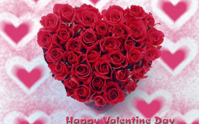 Rose Valentines Day Widescreen Wallpapers 113515