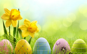Easter Egg HD Background Wallpaper 113010