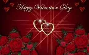 Rose Valentines Day Wallpaper HD 113513