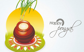 Pongal Background Wallpaper 12310