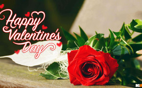 Romantic Valentines Day Best Wallpaper 113441