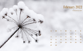 February 2022 Calendar Wallpaper HD 126040