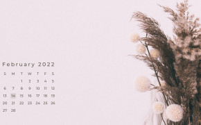February 2022 Calendar Background HD Wallpapers 126027