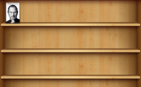 Empty Bookshelf Widescreen Wallpapers 126273