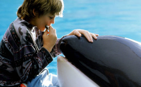 Sauvez Willy Free Willy Best HD Wallpaper 126558