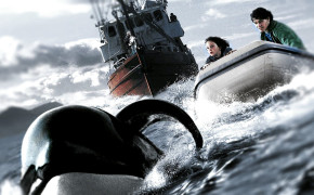 Sauvez Willy Free Willy HD Background Wallpaper 126561