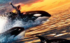Sauvez Willy Free Willy Background Wallpaper 126556